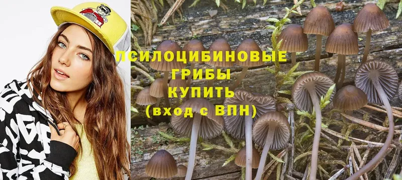 Псилоцибиновые грибы Magic Shrooms  Нарткала 